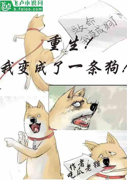 吃瓜小南小说免费阅读,揭秘娱乐圈背后的秘密  第2张